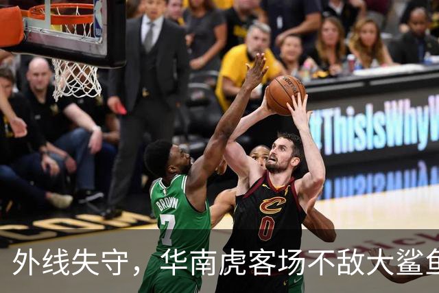 外线失守，华南虎客场不敌大鲨鱼