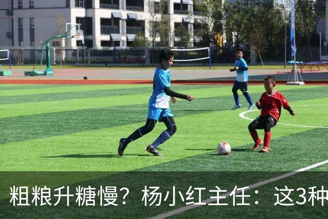 粗粮升糖慢？杨小红主任：这3种粗粮比米饭升糖快，糖友别天天吃