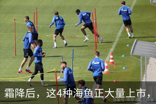 霜降后，这4种海鱼正大量上市，价格全年最低，大爷大妈抢着要